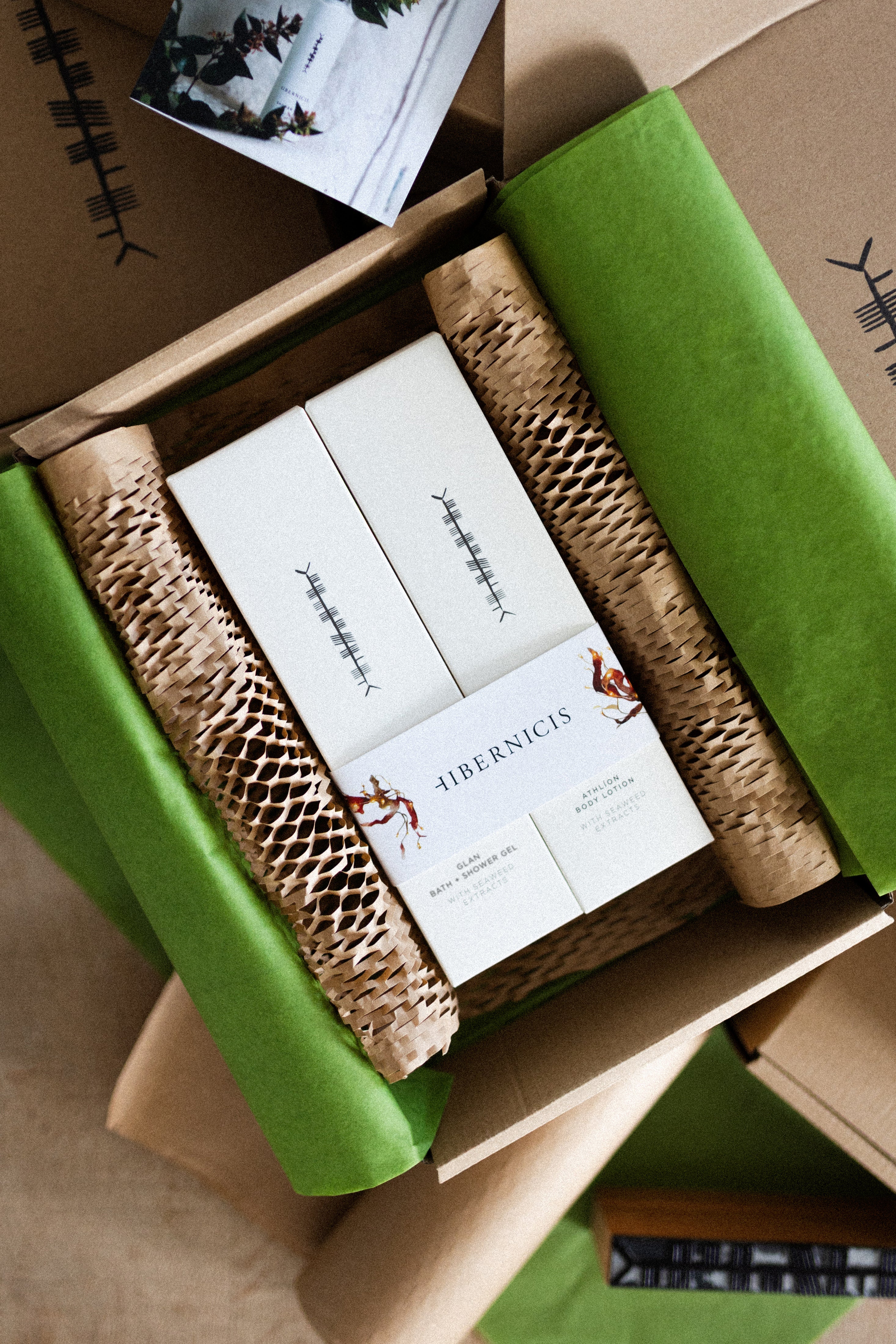 Bathed and Wrapped Gift Set: Bath + Shower Gel and Body Lotion